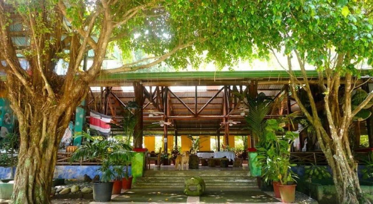 Hotel Roca Verde Beachfront 蓬塔雷纳斯 外观 照片