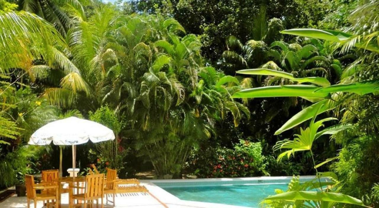 Hotel Roca Verde Beachfront 蓬塔雷纳斯 外观 照片