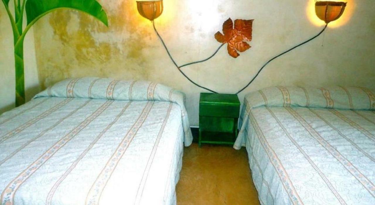 Hotel Roca Verde Beachfront 蓬塔雷纳斯 外观 照片